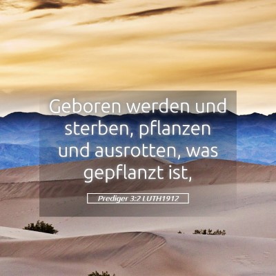 Picture 05 - Prediger 3:2 LUTH1912 - Geboren werden und sterben, pflanzen und - Bible Verse Picture