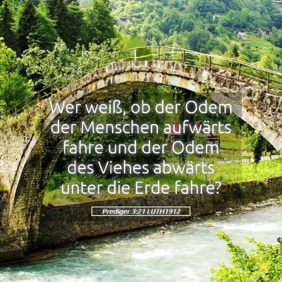 Picture 05 - Prediger 3:21 LUTH1912 - Wer weiß, ob der Odem der Menschen aufwärts - Bible Verse Picture