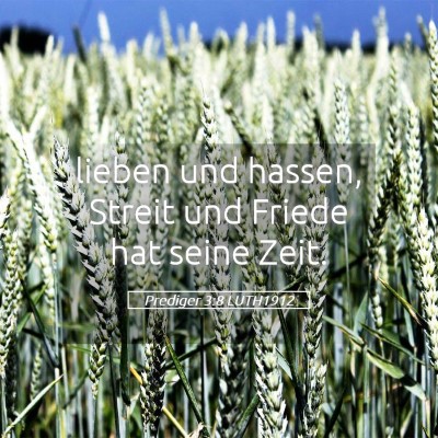 Picture 05 - Prediger 3:8 LUTH1912 - lieben und hassen, Streit und Friede hat seine - Bible Verse Picture