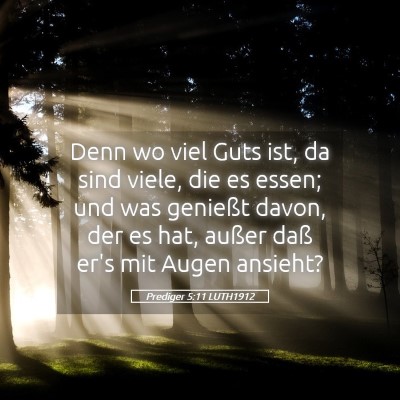 Picture 05 - Prediger 5:11 LUTH1912 - Denn wo viel Guts ist, da sind viele, die es - Bible Verse Picture