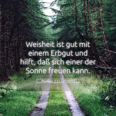 Picture 05 - Prediger 7:11 LUTH1912 - Weisheit ist gut mit einem Erbgut und hilft, daß - Bible Verse Picture