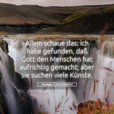 Picture 05 - Prediger 7:29 LUTH1912 - Allein schaue das: ich habe gefunden, daß Gott - Bible Verse Picture