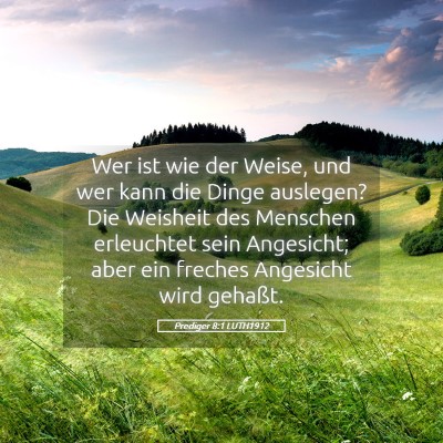 Picture 05 - Prediger 8:1 LUTH1912 - Wer ist wie der Weise, und wer kann die Dinge - Bible Verse Picture