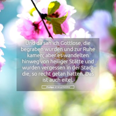 Picture 05 - Prediger 8:10 LUTH1912 - Und da sah ich Gottlose, die begraben wurden und - Bible Verse Picture