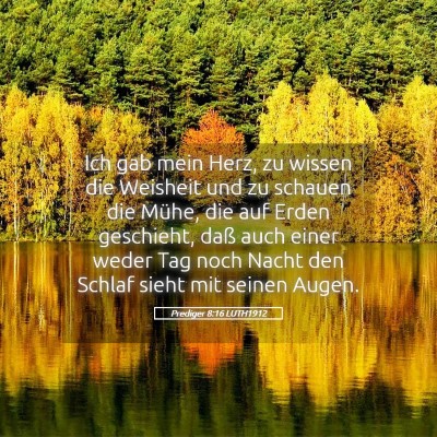 Picture 05 - Prediger 8:16 LUTH1912 - Ich gab mein Herz, zu wissen die Weisheit und zu - Bible Verse Picture