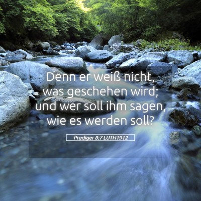 Picture 05 - Prediger 8:7 LUTH1912 - Denn er weiß nicht, was geschehen wird; und wer - Bible Verse Picture