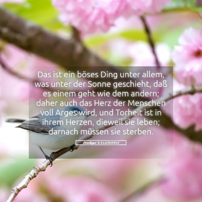 Picture 05 - Prediger 9:3 LUTH1912 - Das ist ein böses Ding unter allem, was unter - Bible Verse Picture