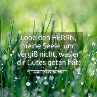Picture 05 - Psalm 103:2 LUTH1912 - Lobe den HERRN, meine Seele, und vergiß nicht, - Bible Verse Picture