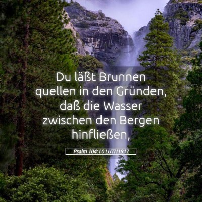 Picture 05 - Psalm 104:10 LUTH1912 - Du läßt Brunnen quellen in den Gründen, daß - Bible Verse Picture