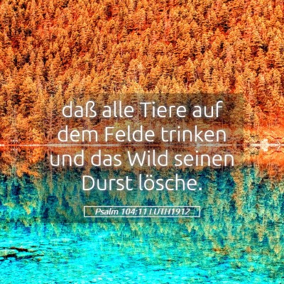 Picture 05 - Psalm 104:11 LUTH1912 - daß alle Tiere auf dem Felde trinken und das - Bible Verse Picture