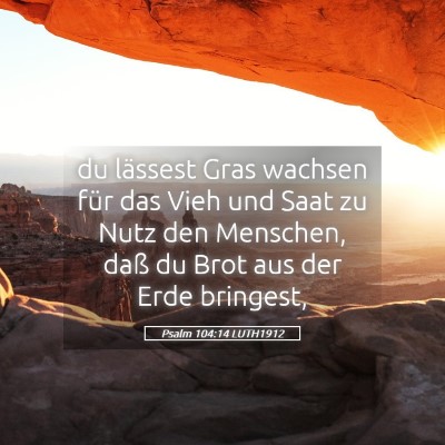 Picture 05 - Psalm 104:14 LUTH1912 - du lässest Gras wachsen für das Vieh und Saat - Bible Verse Picture