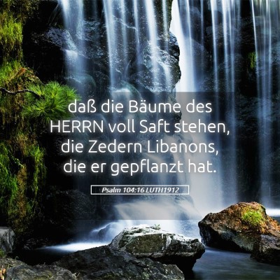 Picture 05 - Psalm 104:16 LUTH1912 - daß die Bäume des HERRN voll Saft stehen, die - Bible Verse Picture