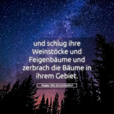 Picture 05 - Psalm 105:33 LUTH1912 - und schlug ihre Weinstöcke und Feigenbäume und - Bible Verse Picture