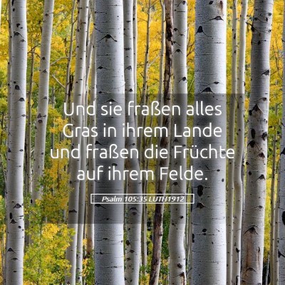 Picture 05 - Psalm 105:35 LUTH1912 - Und sie fraßen alles Gras in ihrem Lande und - Bible Verse Picture