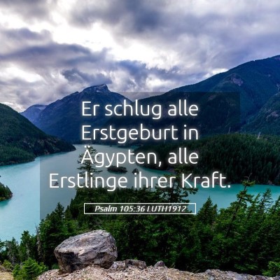 Picture 05 - Psalm 105:36 LUTH1912 - Er schlug alle Erstgeburt in Ägypten, alle - Bible Verse Picture