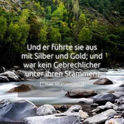 Picture 05 - Psalm 105:37 LUTH1912 - Und er führte sie aus mit Silber und Gold; und - Bible Verse Picture