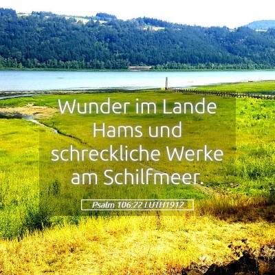 Picture 05 - Psalm 106:22 LUTH1912 - Wunder im Lande Hams und schreckliche Werke am - Bible Verse Picture