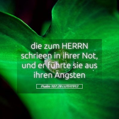 Picture 05 - Psalm 107:28 LUTH1912 - die zum HERRN schrieen in ihrer Not, und er - Bible Verse Picture