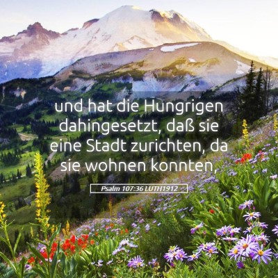 Picture 05 - Psalm 107:36 LUTH1912 - und hat die Hungrigen dahingesetzt, daß sie eine - Bible Verse Picture