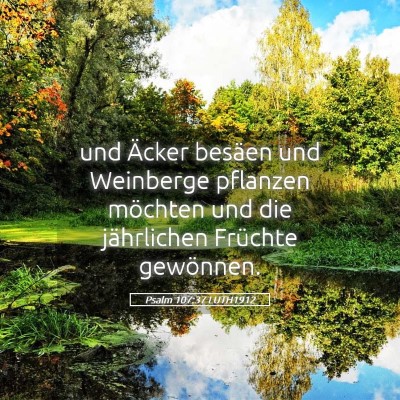 Picture 05 - Psalm 107:37 LUTH1912 - und Äcker besäen und Weinberge pflanzen - Bible Verse Picture