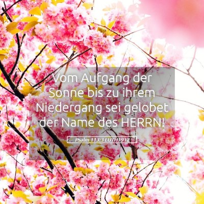 Picture 05 - Psalm 113:3 LUTH1912 - Vom Aufgang der Sonne bis zu ihrem Niedergang sei - Bible Verse Picture