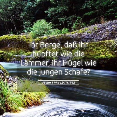 Picture 05 - Psalm 114:6 LUTH1912 - ihr Berge, daß ihr hüpftet wie die Lämmer, ihr - Bible Verse Picture
