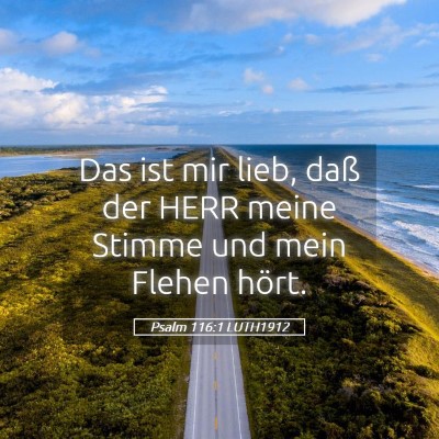 Picture 05 - Psalm 116:1 LUTH1912 - Das ist mir lieb, daß der HERR meine Stimme und - Bible Verse Picture