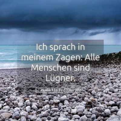 Picture 05 - Psalm 116:11 LUTH1912 - Ich sprach in meinem Zagen: Alle Menschen sind - Bible Verse Picture