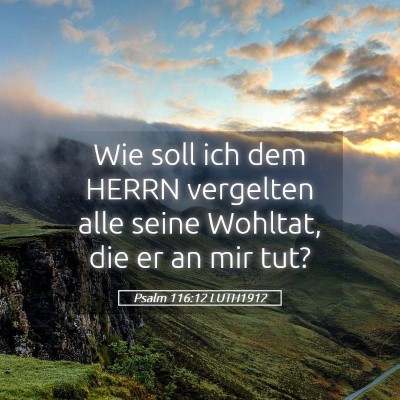 Picture 05 - Psalm 116:12 LUTH1912 - Wie soll ich dem HERRN vergelten alle seine - Bible Verse Picture