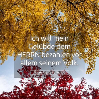 Picture 05 - Psalm 116:14 LUTH1912 - Ich will mein Gelübde dem HERRN bezahlen vor - Bible Verse Picture