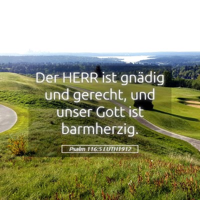 Picture 05 - Psalm 116:5 LUTH1912 - Der HERR ist gnädig und gerecht, und unser Gott - Bible Verse Picture