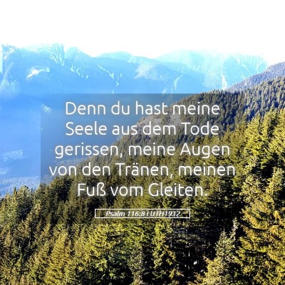 Picture 05 - Psalm 116:8 LUTH1912 - Denn du hast meine Seele aus dem Tode gerissen, - Bible Verse Picture