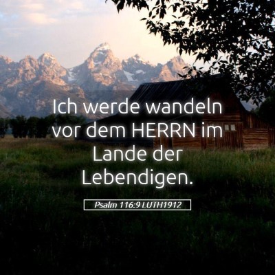 Picture 05 - Psalm 116:9 LUTH1912 - Ich werde wandeln vor dem HERRN im Lande der - Bible Verse Picture