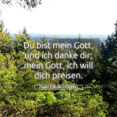 Picture 05 - Psalm 118:28 LUTH1912 - Du bist mein Gott, und ich danke dir; mein Gott, - Bible Verse Picture