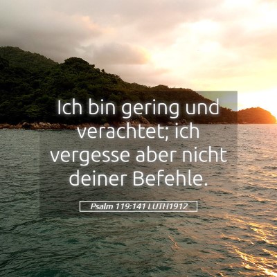 Picture 05 - Psalm 119:141 LUTH1912 - Ich bin gering und verachtet; ich vergesse aber - Bible Verse Picture