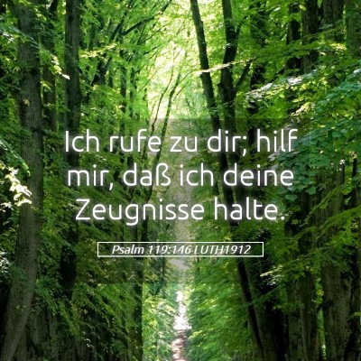 Picture 05 - Psalm 119:146 LUTH1912 - Ich rufe zu dir; hilf mir, daß ich deine - Bible Verse Picture