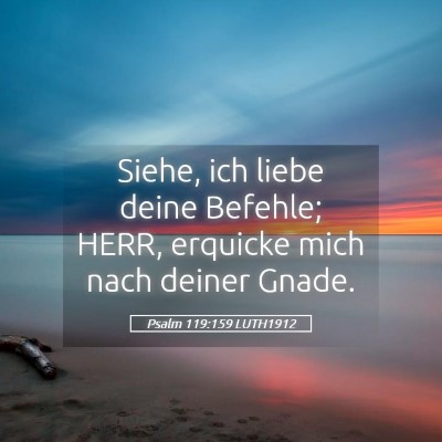 Picture 05 - Psalm 119:159 LUTH1912 - Siehe, ich liebe deine Befehle; HERR, erquicke - Bible Verse Picture