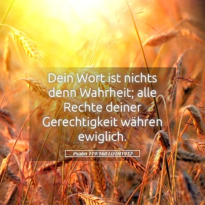 Picture 05 - Psalm 119:160 LUTH1912 - Dein Wort ist nichts denn Wahrheit; alle Rechte - Bible Verse Picture