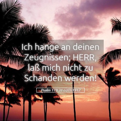 Picture 05 - Psalm 119:31 LUTH1912 - Ich hange an deinen Zeugnissen; HERR, laß mich - Bible Verse Picture