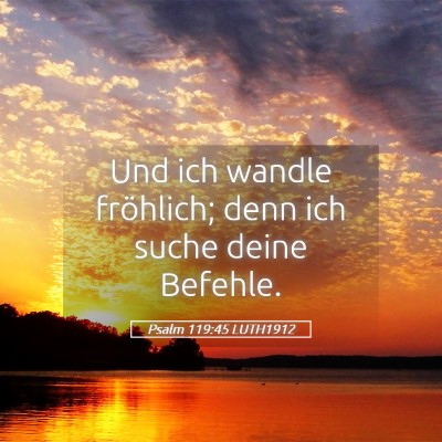 Picture 05 - Psalm 119:45 LUTH1912 - Und ich wandle fröhlich; denn ich suche deine - Bible Verse Picture