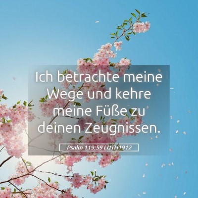 Picture 05 - Psalm 119:59 LUTH1912 - Ich betrachte meine Wege und kehre meine Füße - Bible Verse Picture