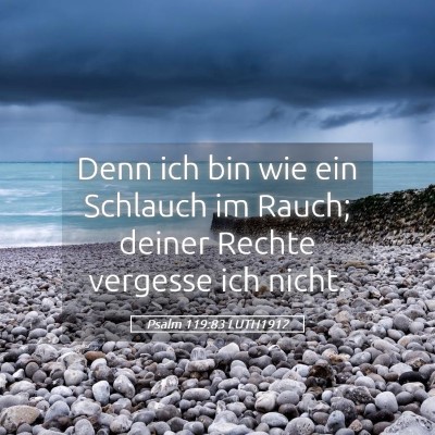 Picture 05 - Psalm 119:83 LUTH1912 - Denn ich bin wie ein Schlauch im Rauch; deiner - Bible Verse Picture