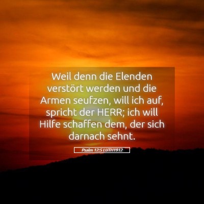 Picture 05 - Psalm 12:5 LUTH1912 - Weil denn die Elenden verstört werden und die - Bible Verse Picture