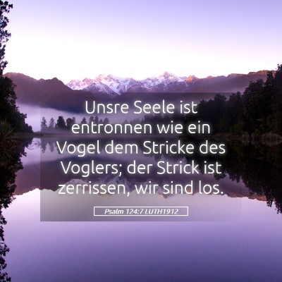 Picture 05 - Psalm 124:7 LUTH1912 - Unsre Seele ist entronnen wie ein Vogel dem - Bible Verse Picture