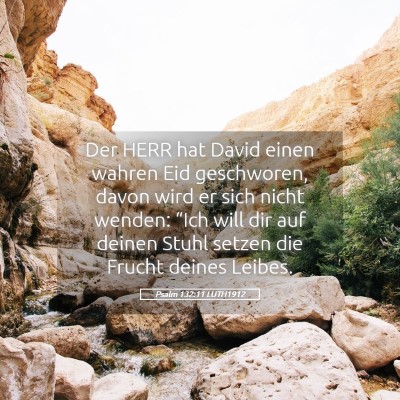 Picture 05 - Psalm 132:11 LUTH1912 - Der HERR hat David einen wahren Eid geschworen, - Bible Verse Picture