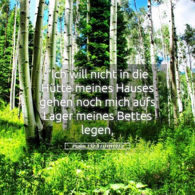 Picture 05 - Psalm 132:3 LUTH1912 - “Ich will nicht in die Hütte meines Hauses - Bible Verse Picture