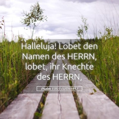 Picture 05 - Psalm 135:1 LUTH1912 - Halleluja! Lobet den Namen des HERRN, lobet, ihr - Bible Verse Picture