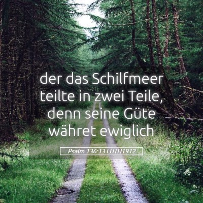 Picture 05 - Psalm 136:13 LUTH1912 - der das Schilfmeer teilte in zwei Teile, denn - Bible Verse Picture