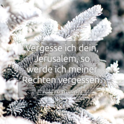 Picture 05 - Psalm 137:5 LUTH1912 - Vergesse ich dein, Jerusalem, so werde ich meiner - Bible Verse Picture