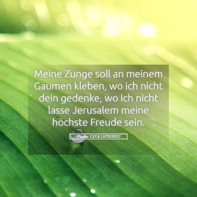 Picture 05 - Psalm 137:6 LUTH1912 - Meine Zunge soll an meinem Gaumen kleben, wo ich - Bible Verse Picture